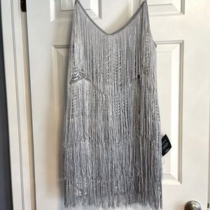 The cutest Lulus silver Fringe dress! This dress has some stretch and is short!